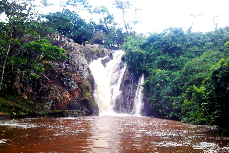 1 day Jinja Tour adventure with a visit to the Source of River Nile, Sezibwa falls and Mabira forest