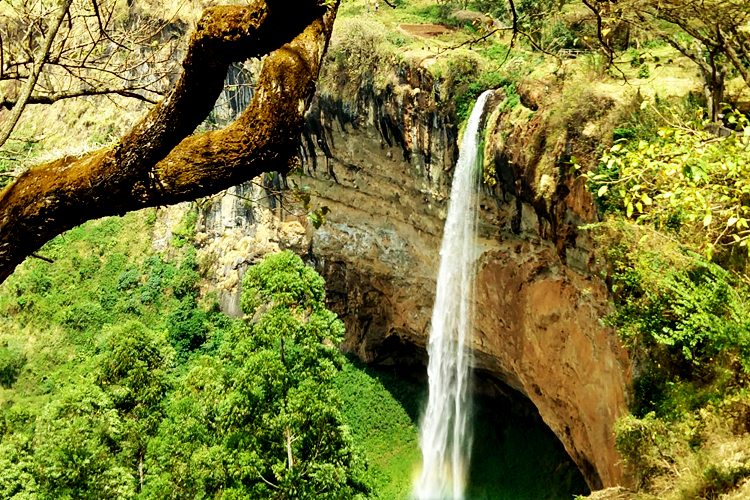1 Day Sipi falls tour, Mountain Elgon hiking and rock climbing, abseiling, coffee tours and sight seeing