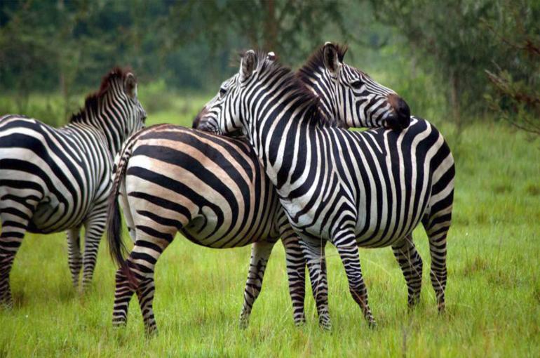 LAKE MBURO NATIONAL PARK